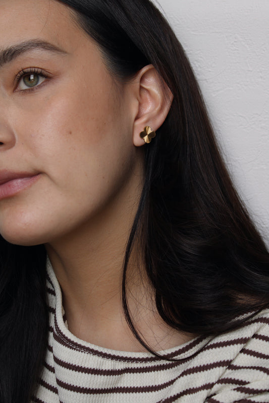 Pendientes Clovi Grande