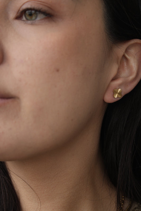 Pendientes Clovi
