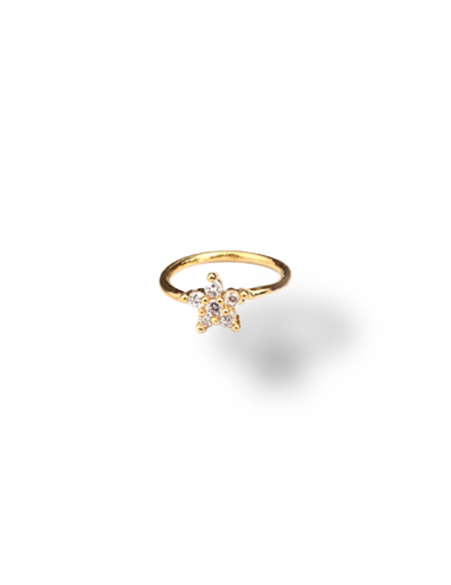 Aro piercing (individual)
