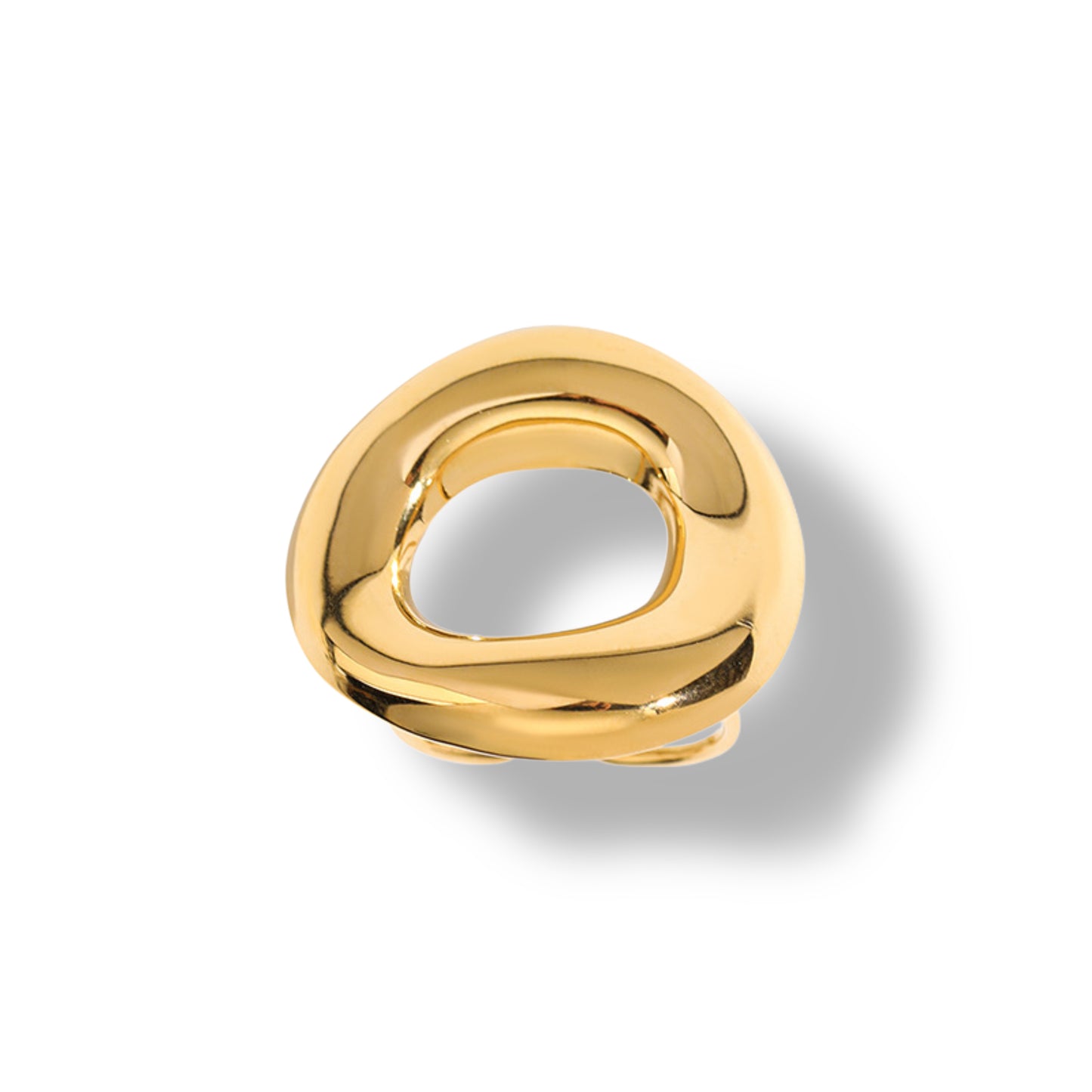 Anillo Rigo