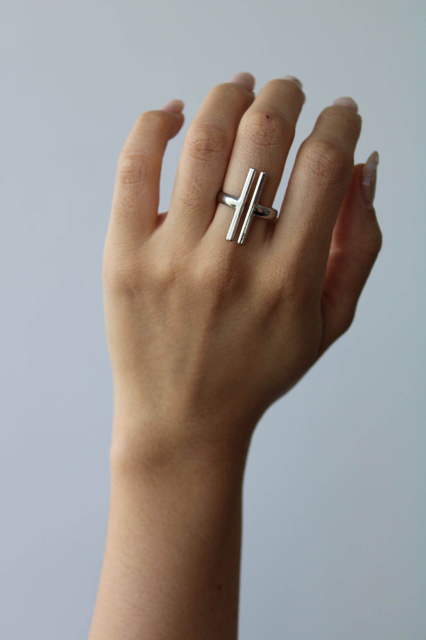 Anillo Guía