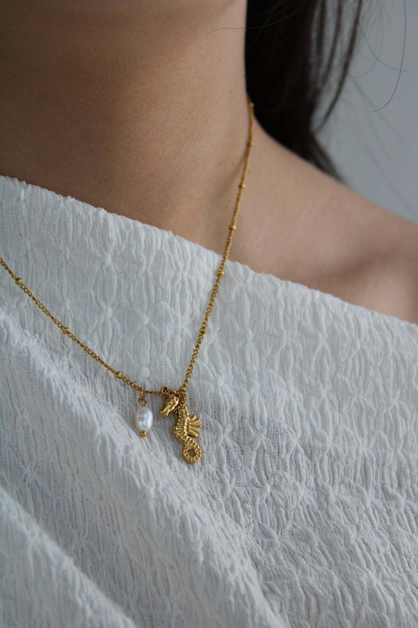 Collar Sandy