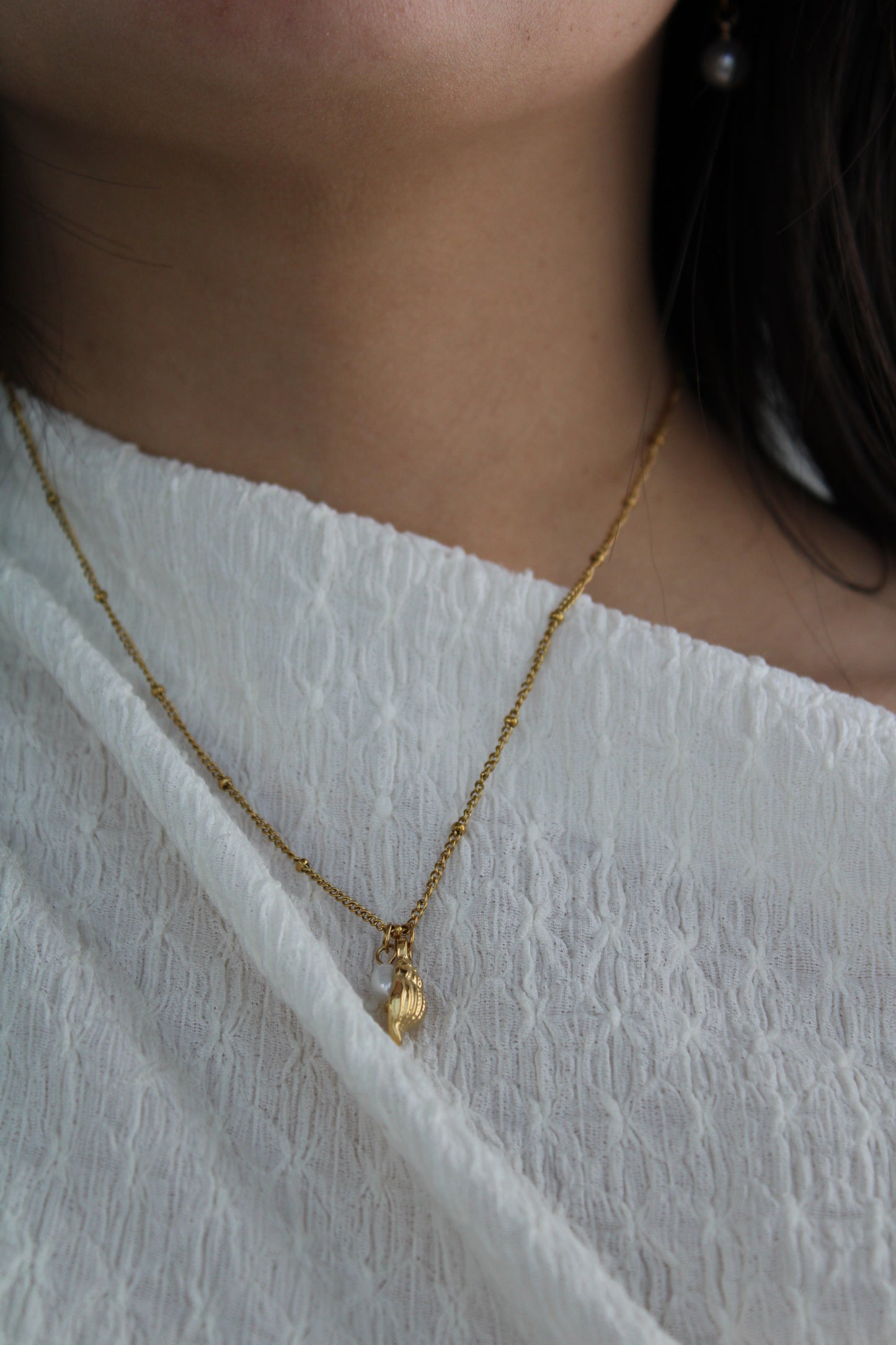 Collar Sandy