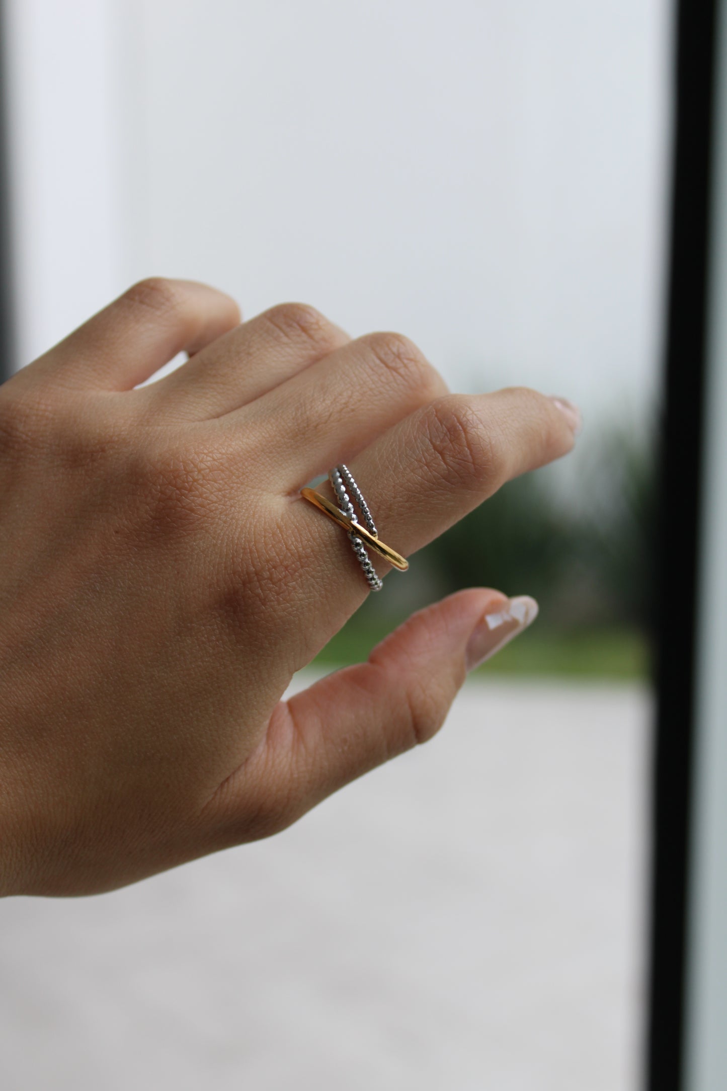 Anillo Ario