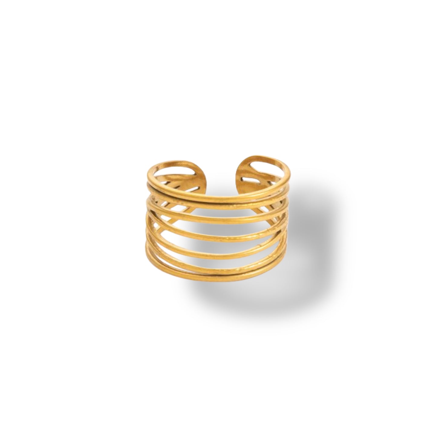 Anillo Fango