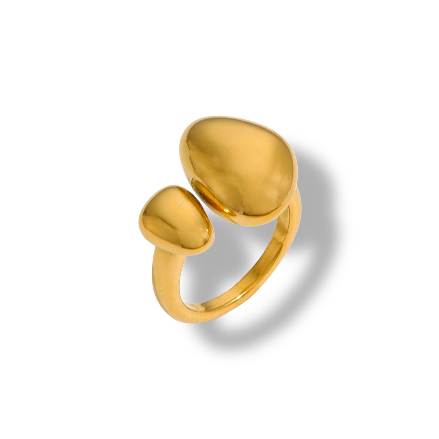 Anillo Porto