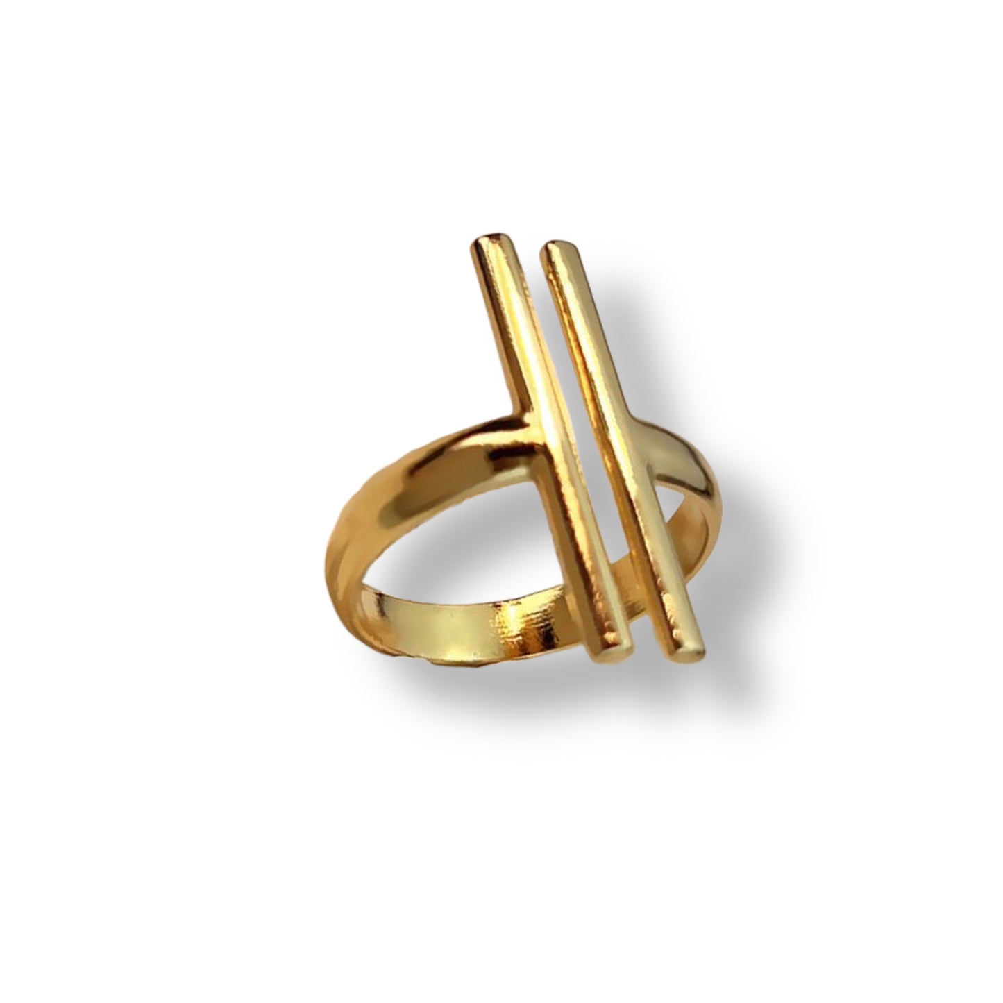 Anillo Guía