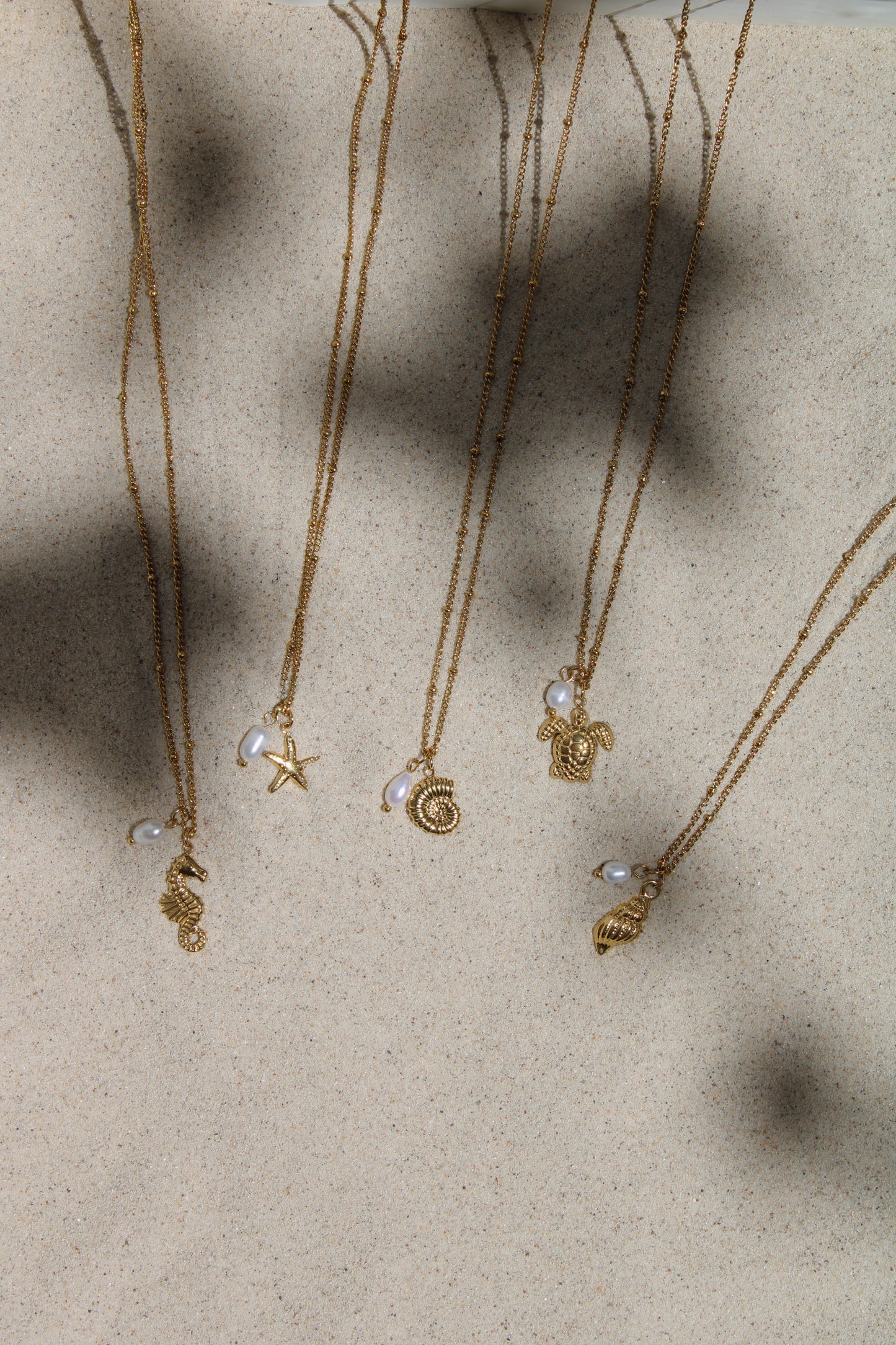 Collar Sandy
