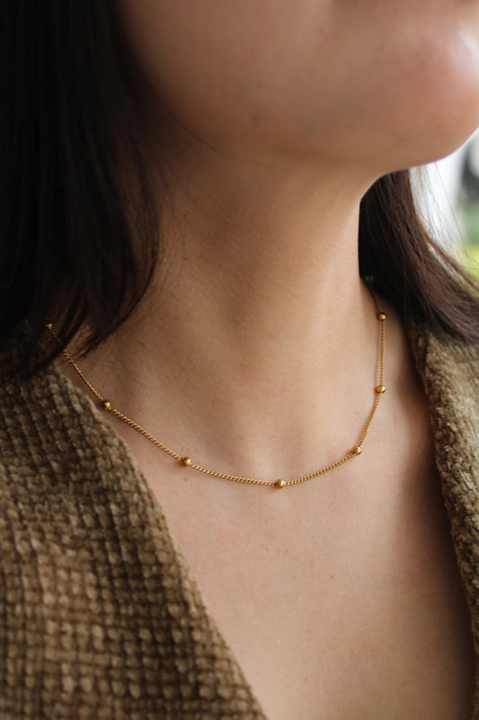 Collar Lapso
