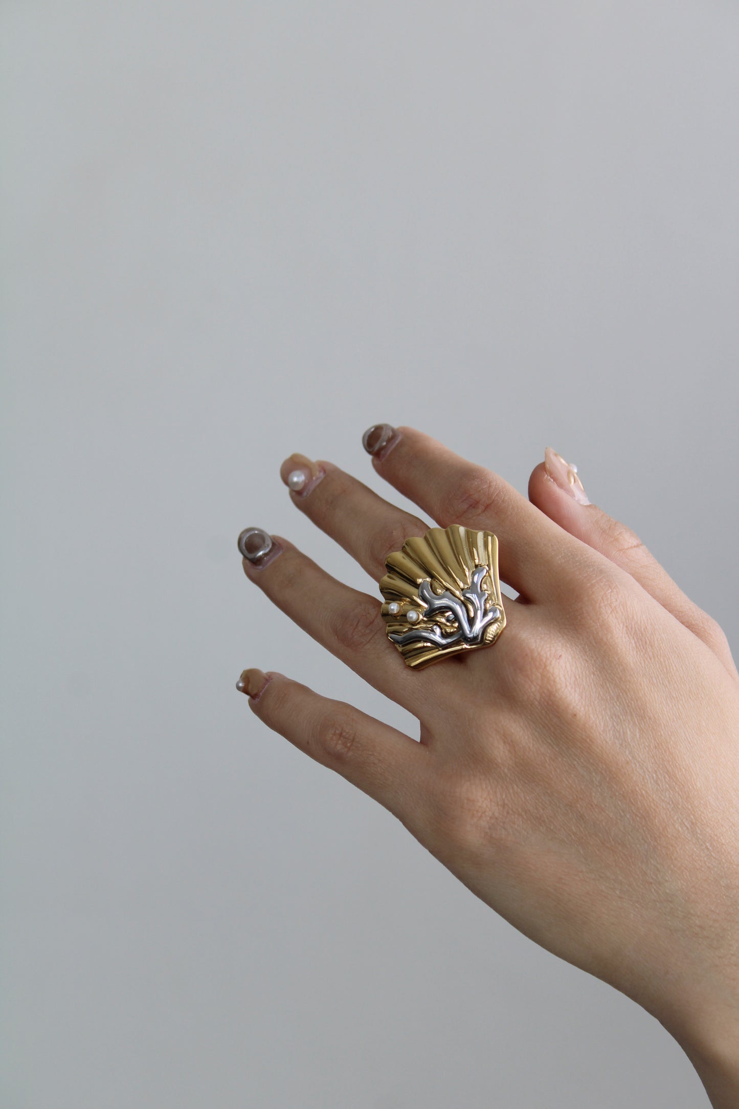 Anillo Arrecife