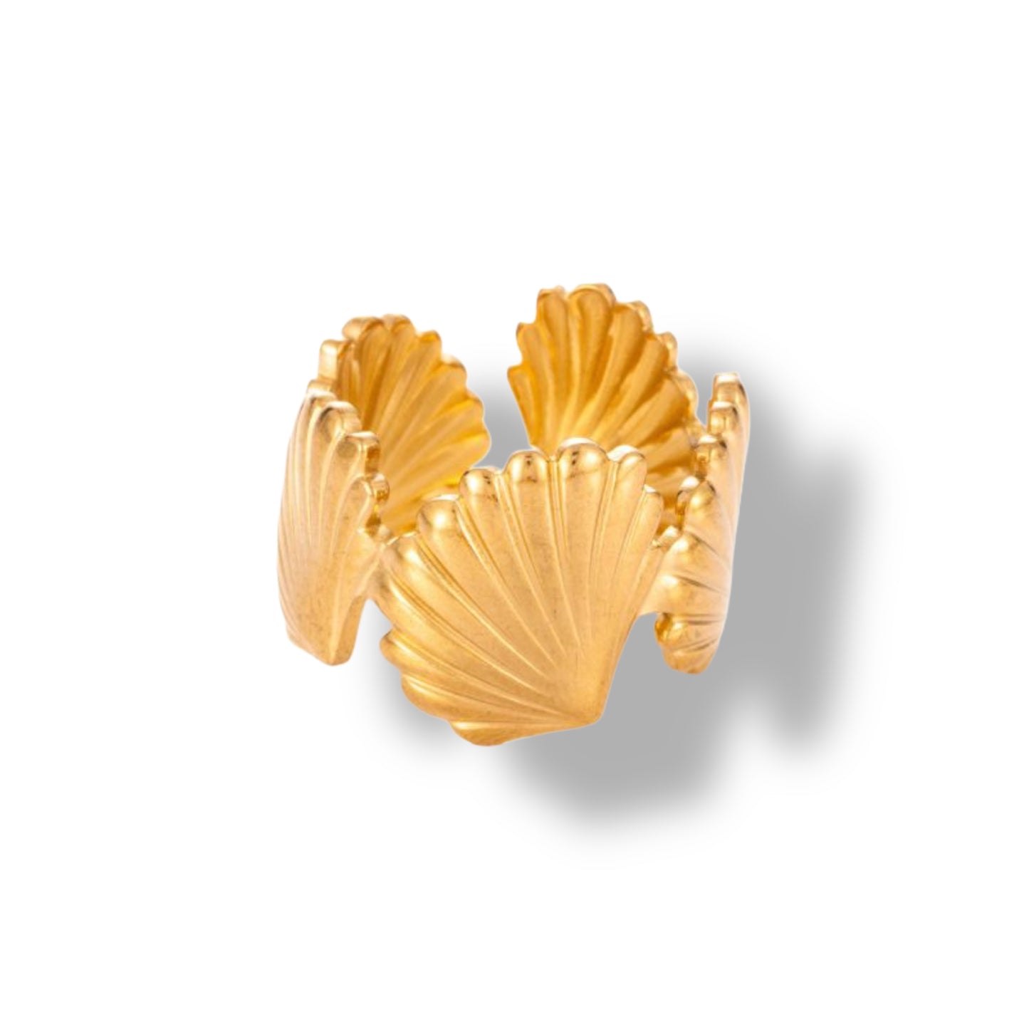 Anillo Shell