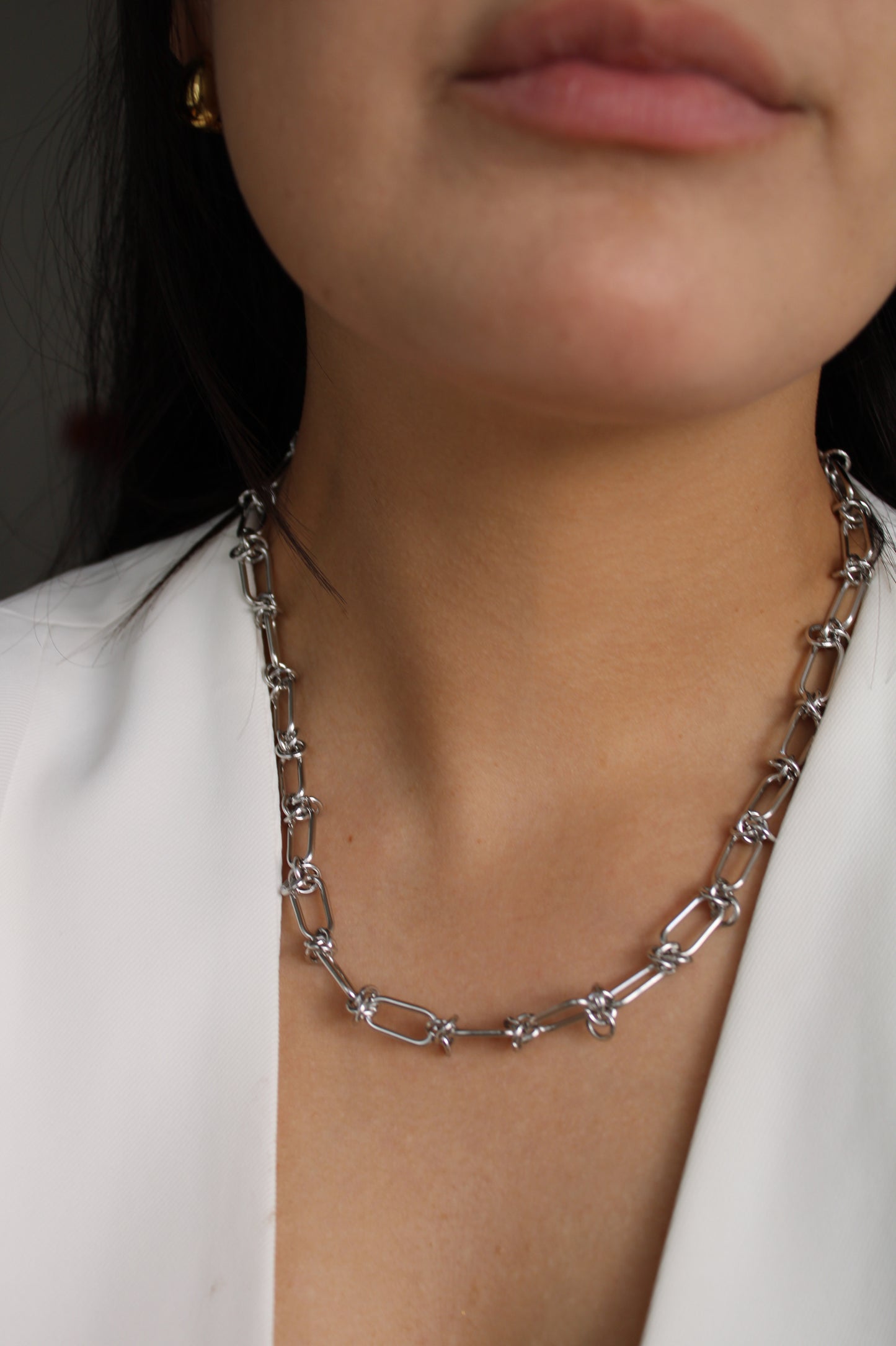 Collar Lizer