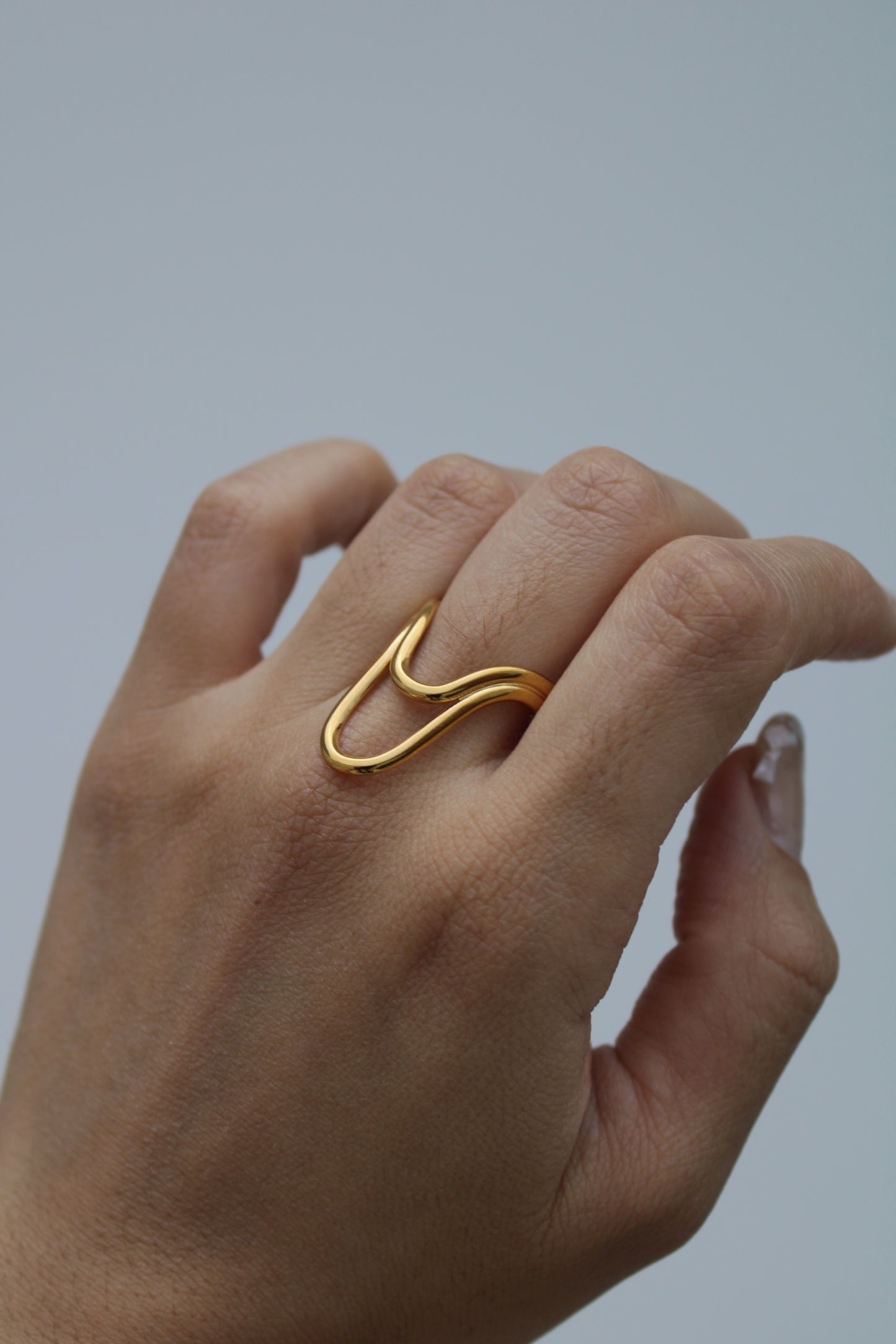 Anillo Tana