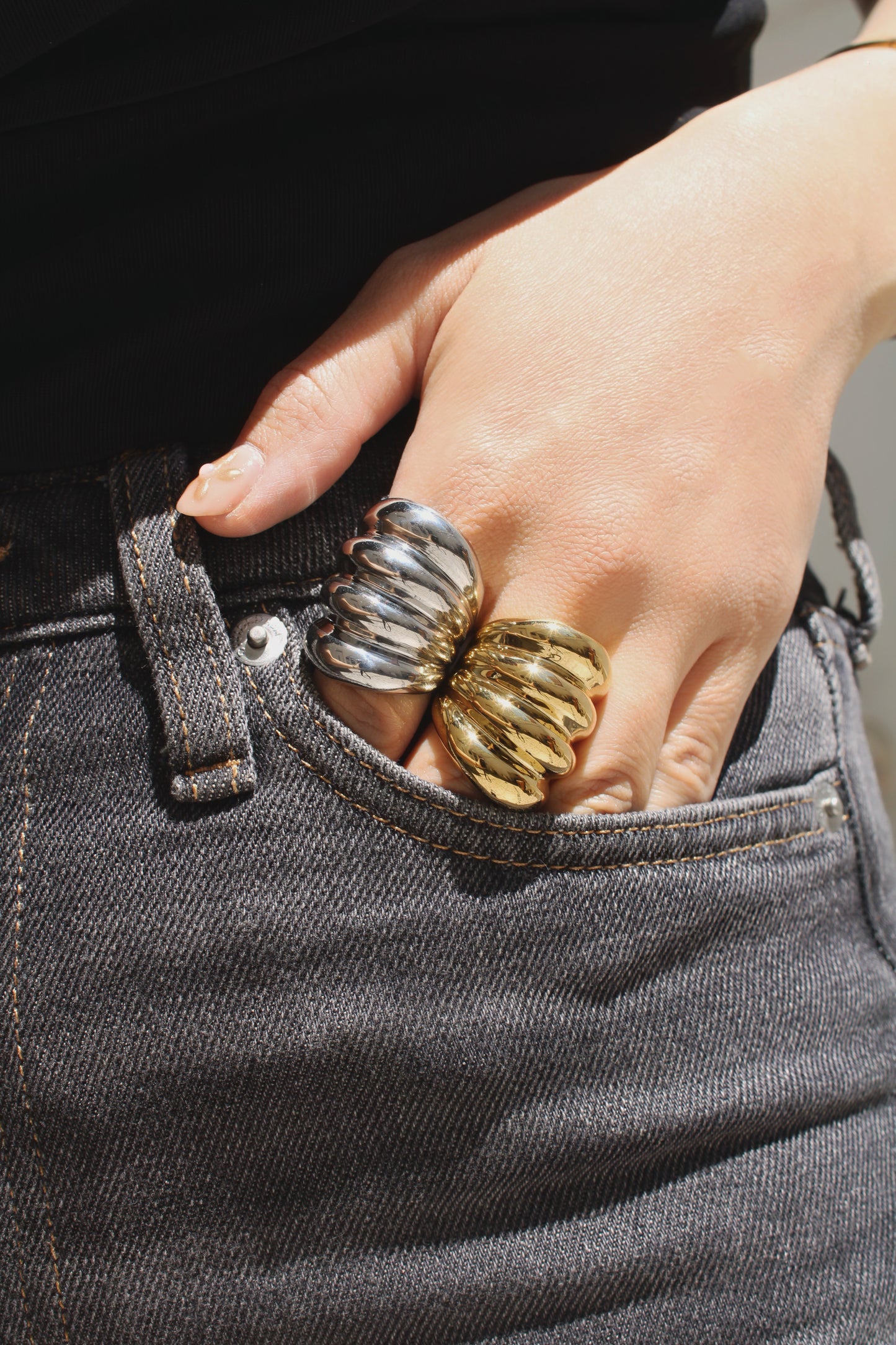 Anillo Bollo