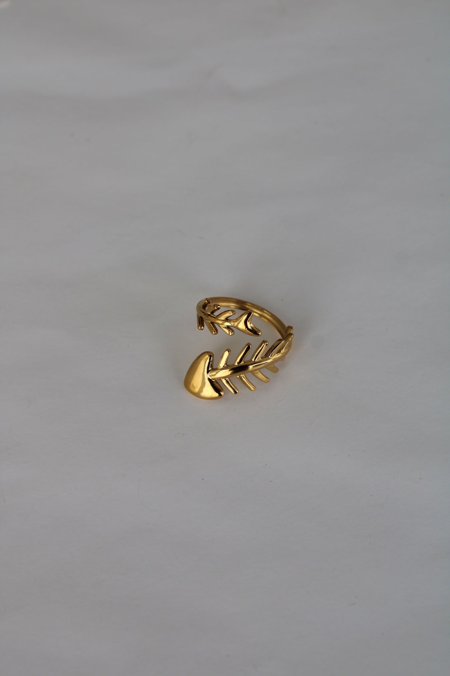 Anillo Carpa