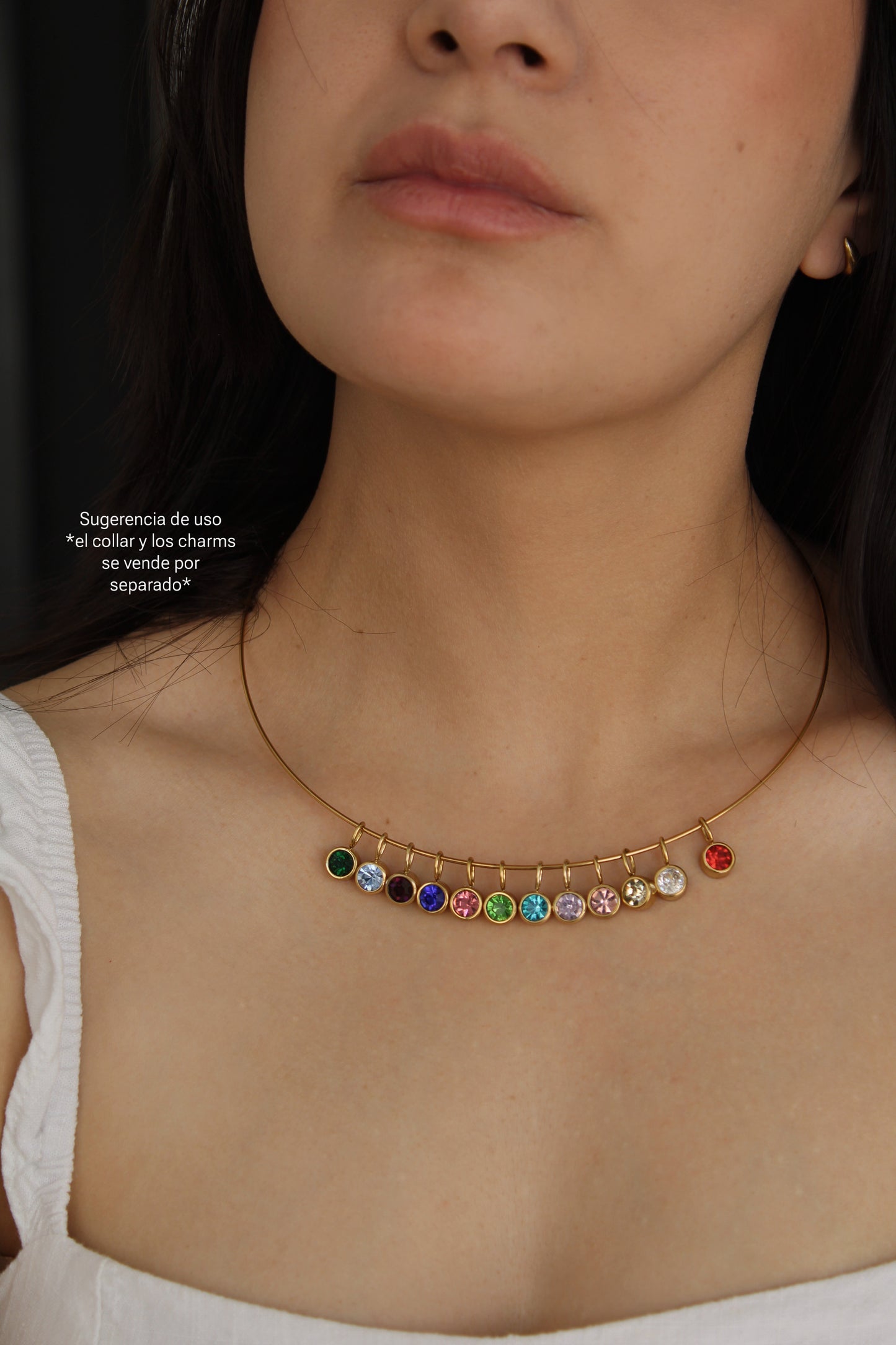 Dije Birthstone (sin collar)