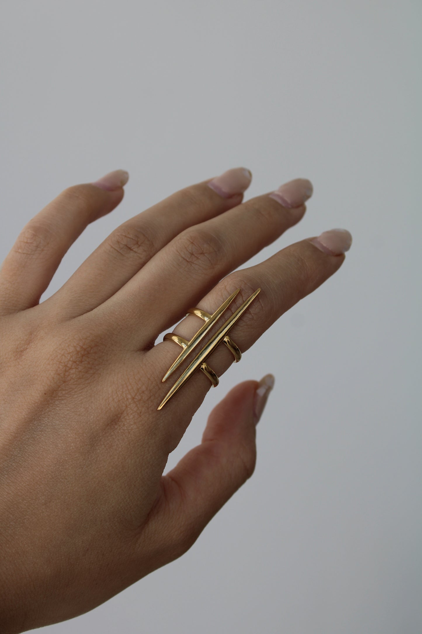 Anillo Magno