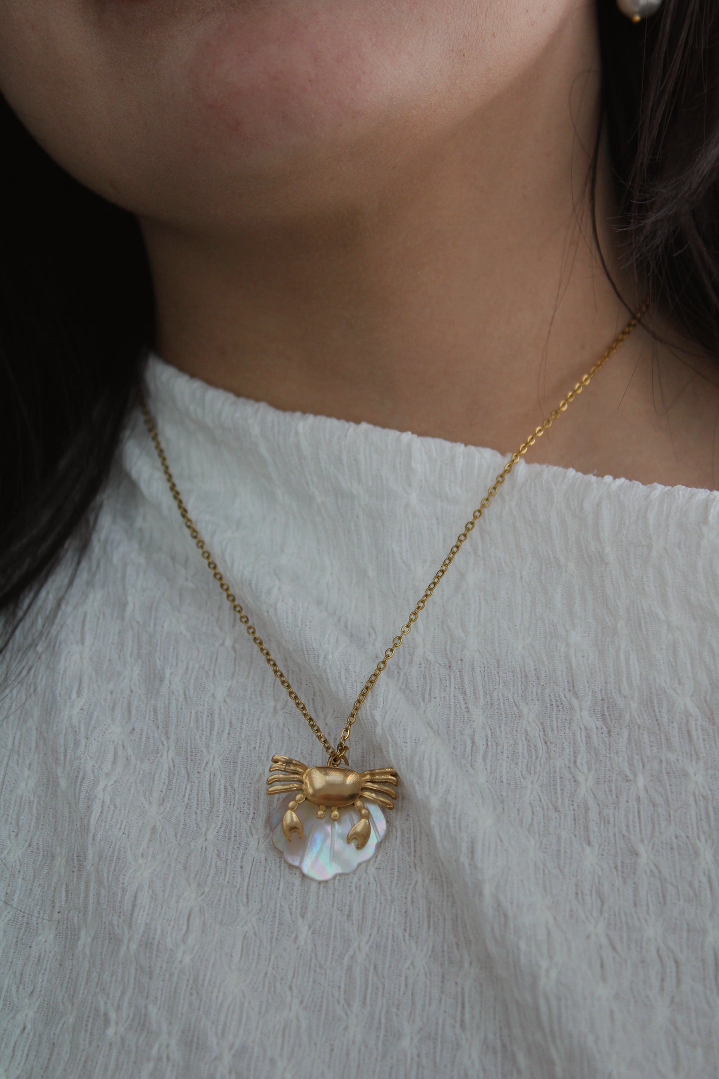 Collar Trópico