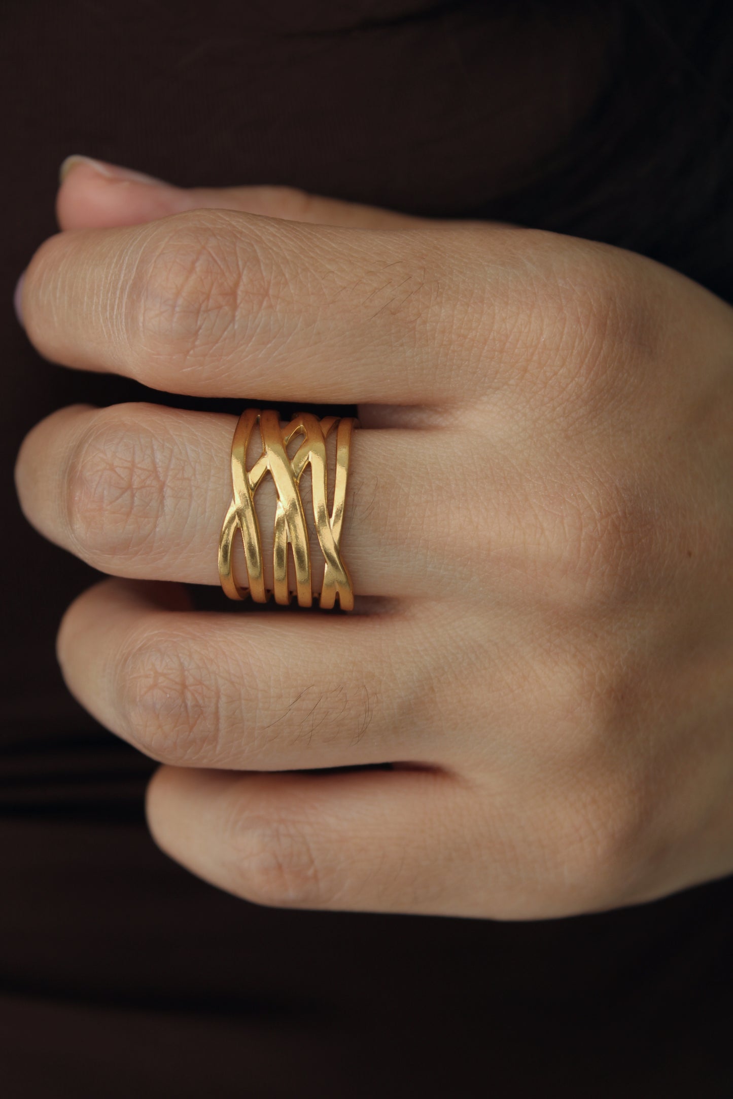 Anillo Viet