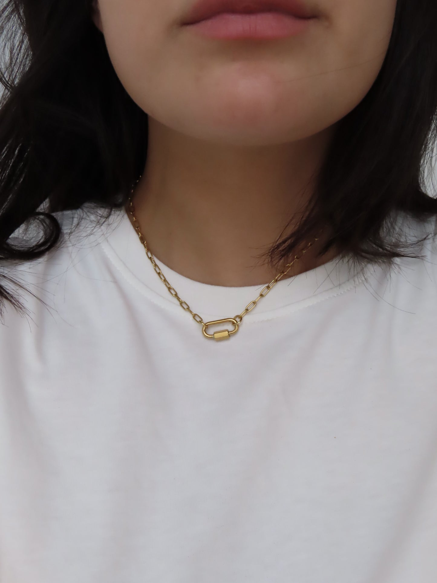 Collar Salva