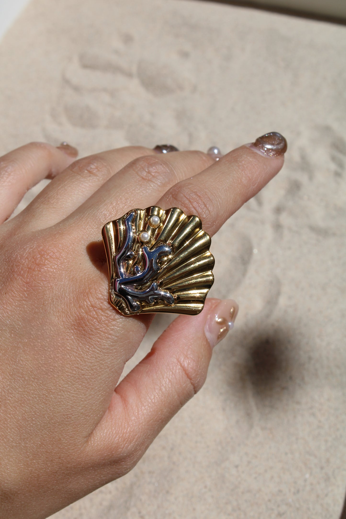 Anillo Arrecife
