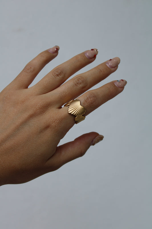 Anillo Puro (exclusivo online)