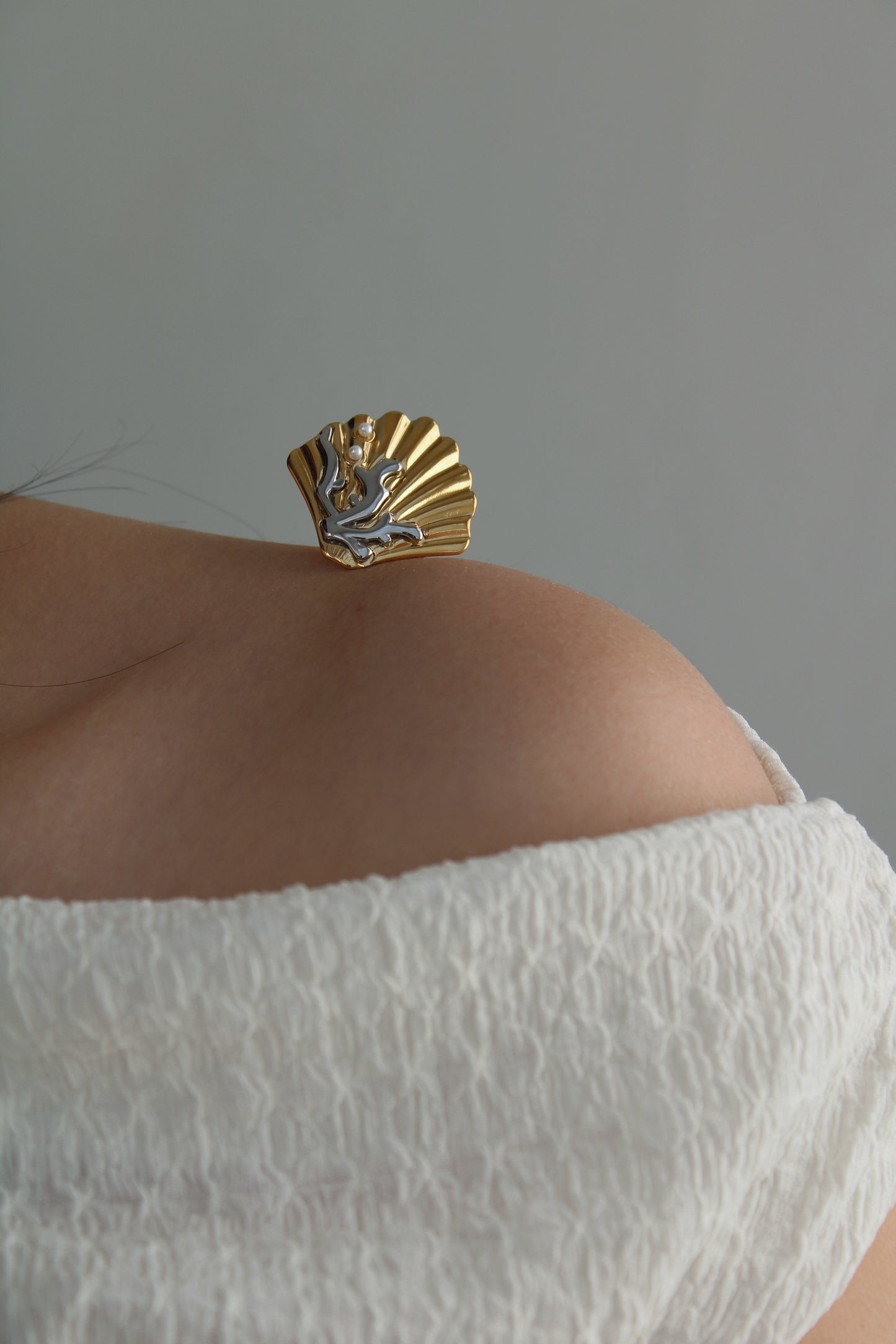 Anillo Arrecife