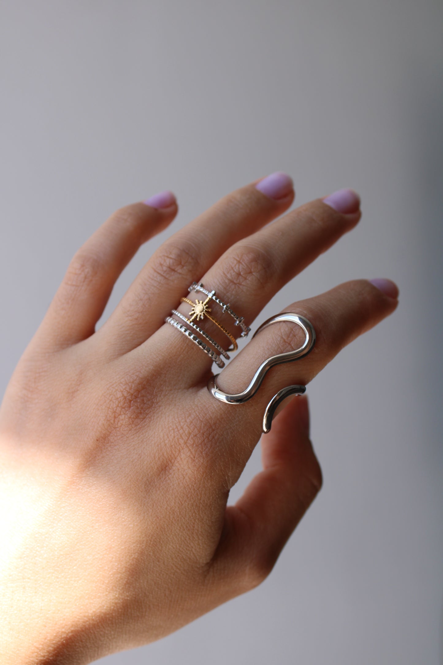 Anillo Meta