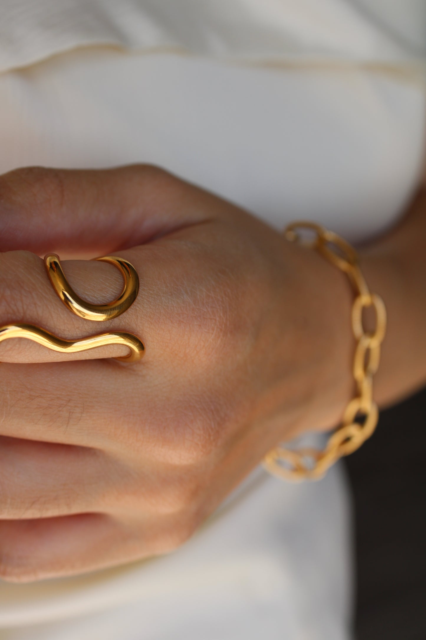 Anillo Meta