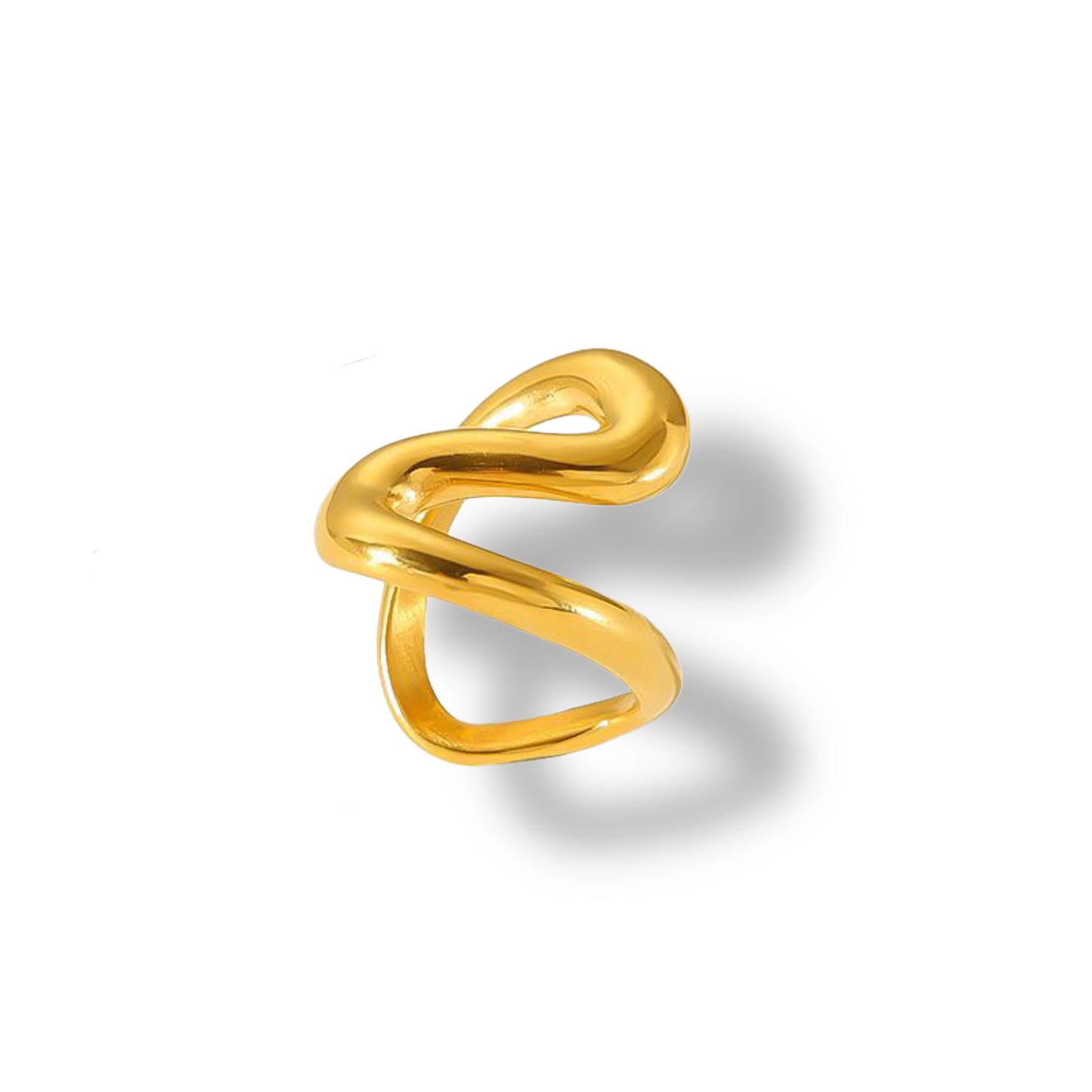 Anillo Juez