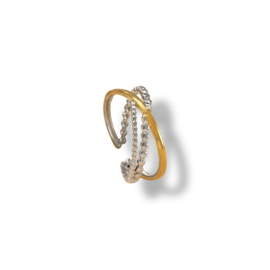 Anillo Ario