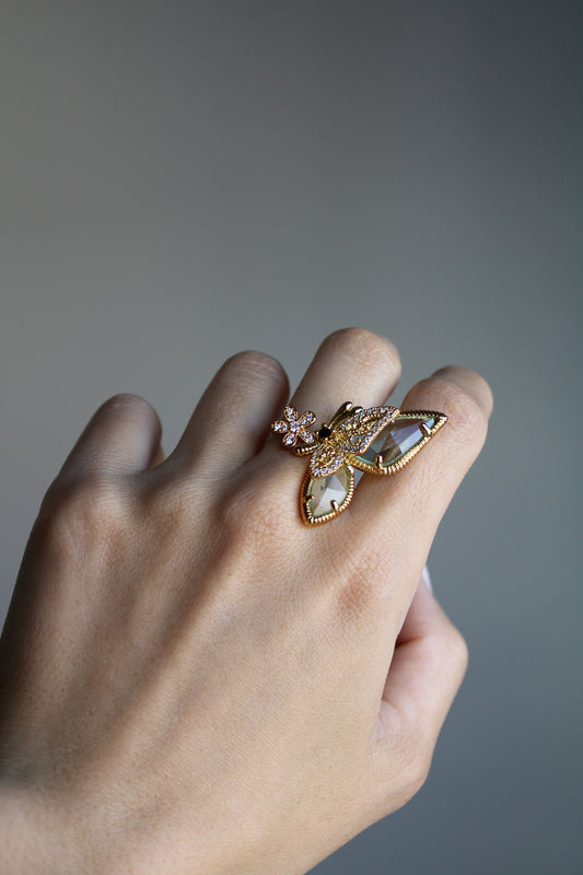 Anillo Volar