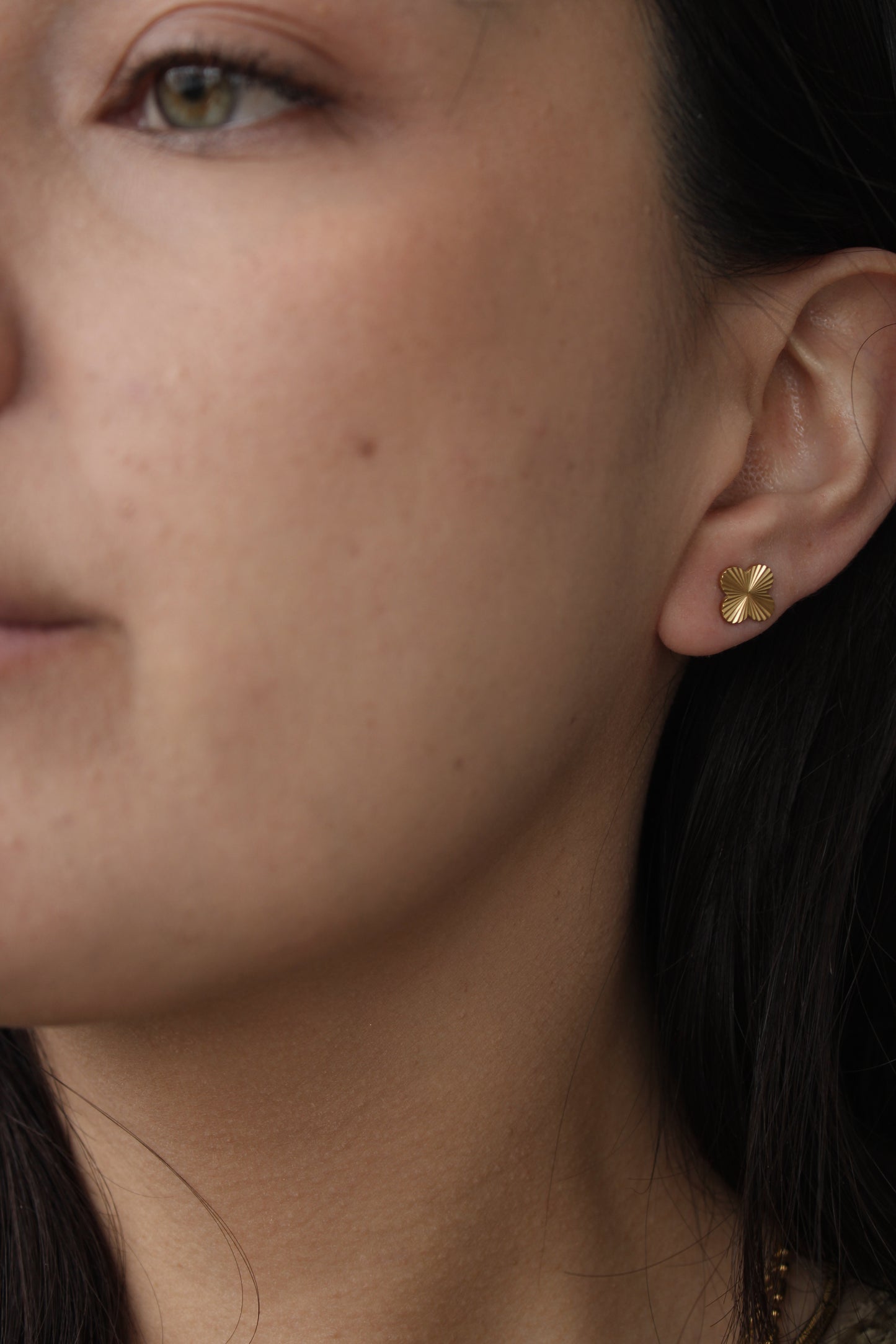 Pendientes Clovi