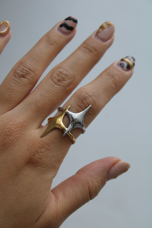 Anillo Estelar
