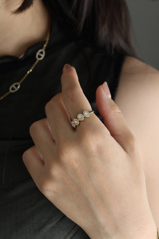 Anillo Danva