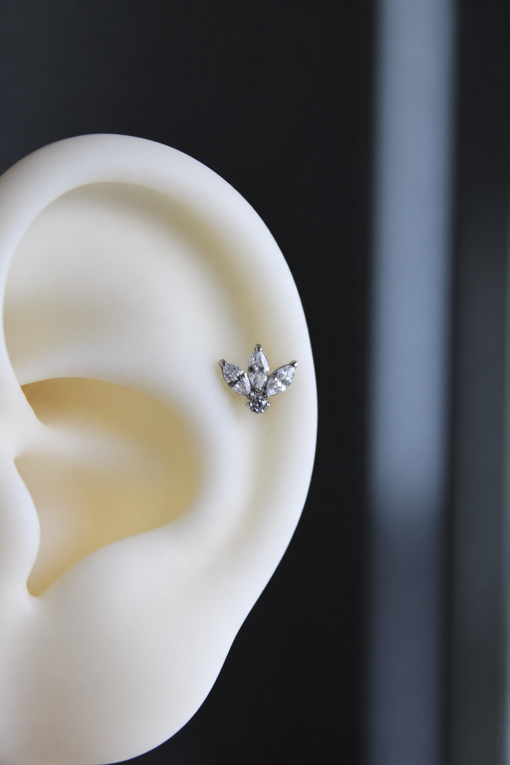 Piercing Titanio ASTM F136 (plata)
