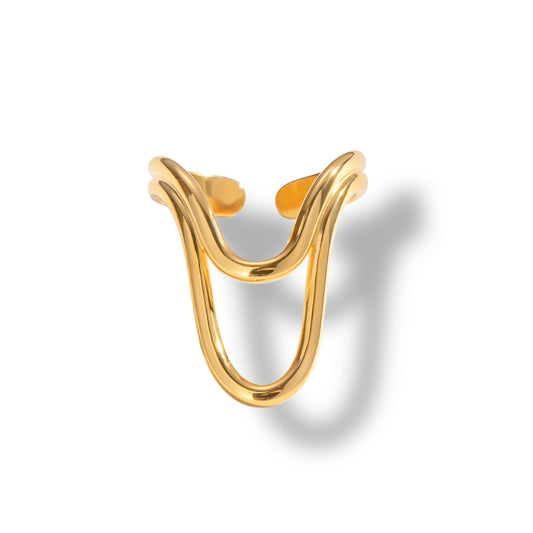 Anillo Tana
