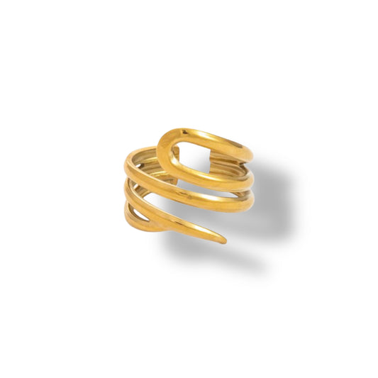 Anillo Tario