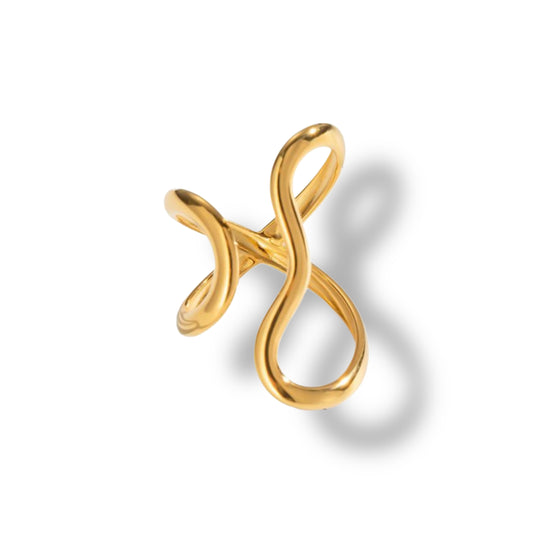 Anillo Meta