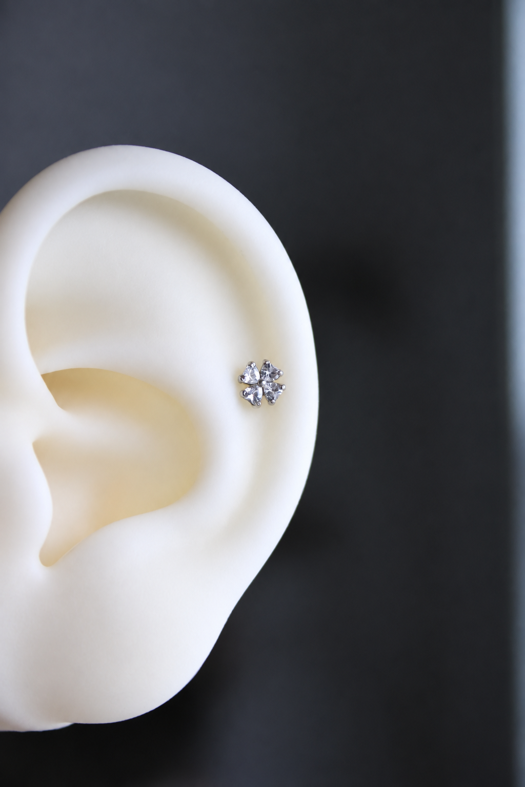 Piercing Titanio ASTM F136 (plata)