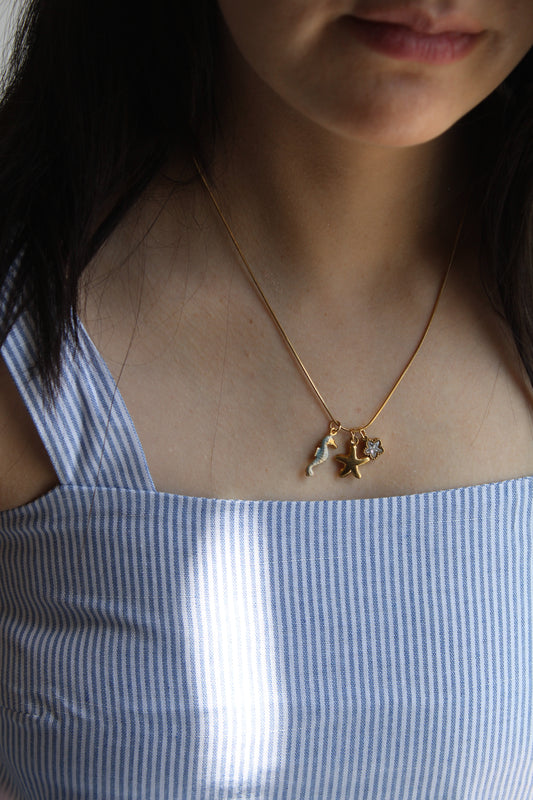 Collar Costa