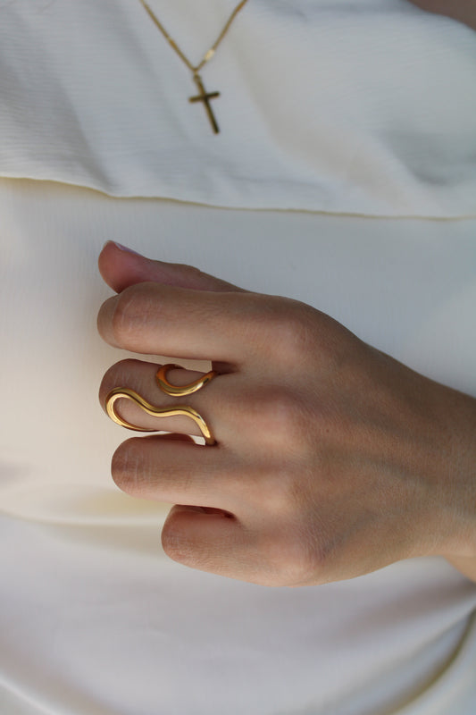 Anillo Meta
