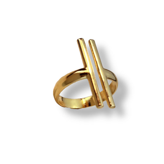 Anillo Guía
