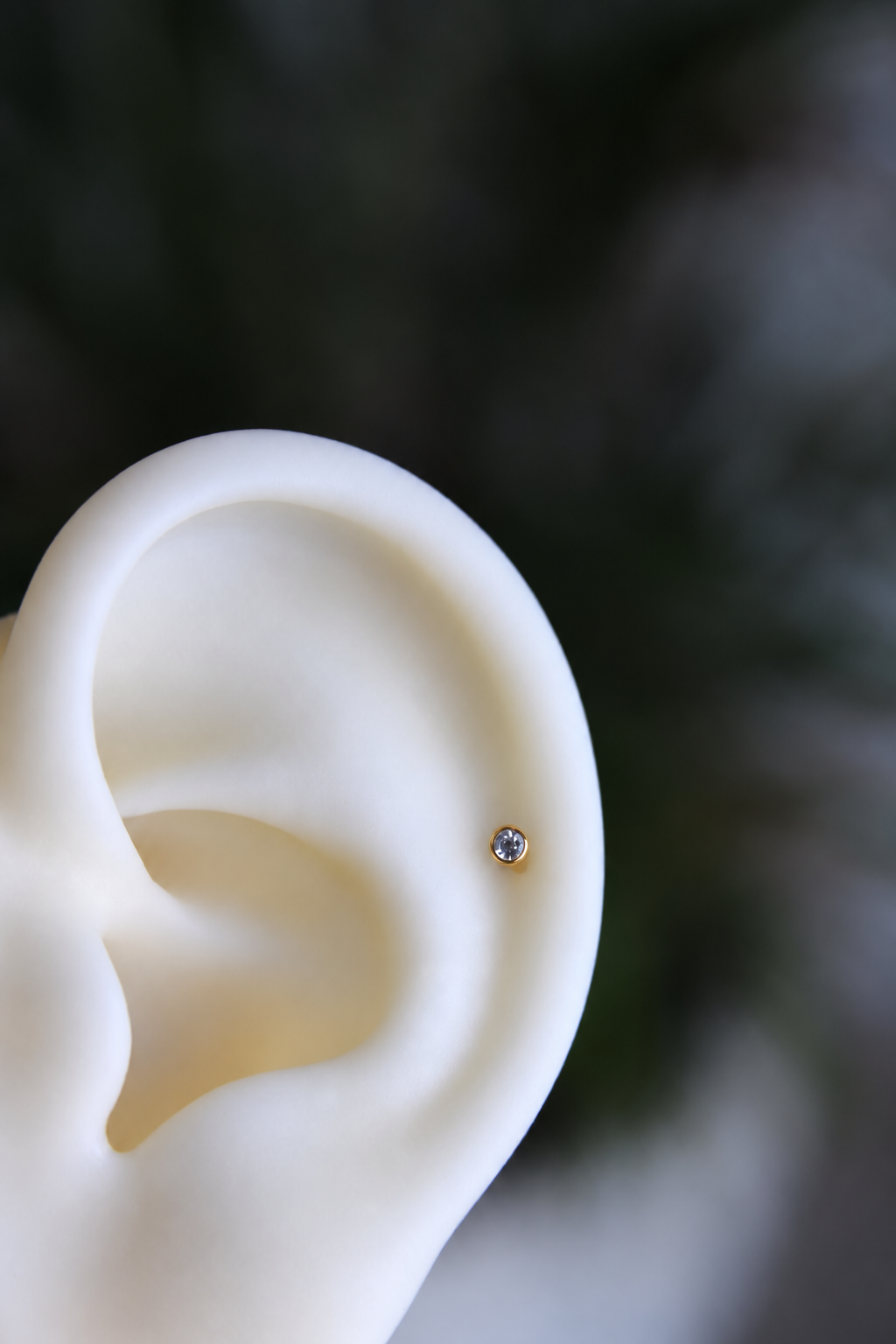 Piercing Titanio ASTM F136 (dorado)