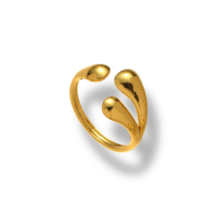 Anillo Noda