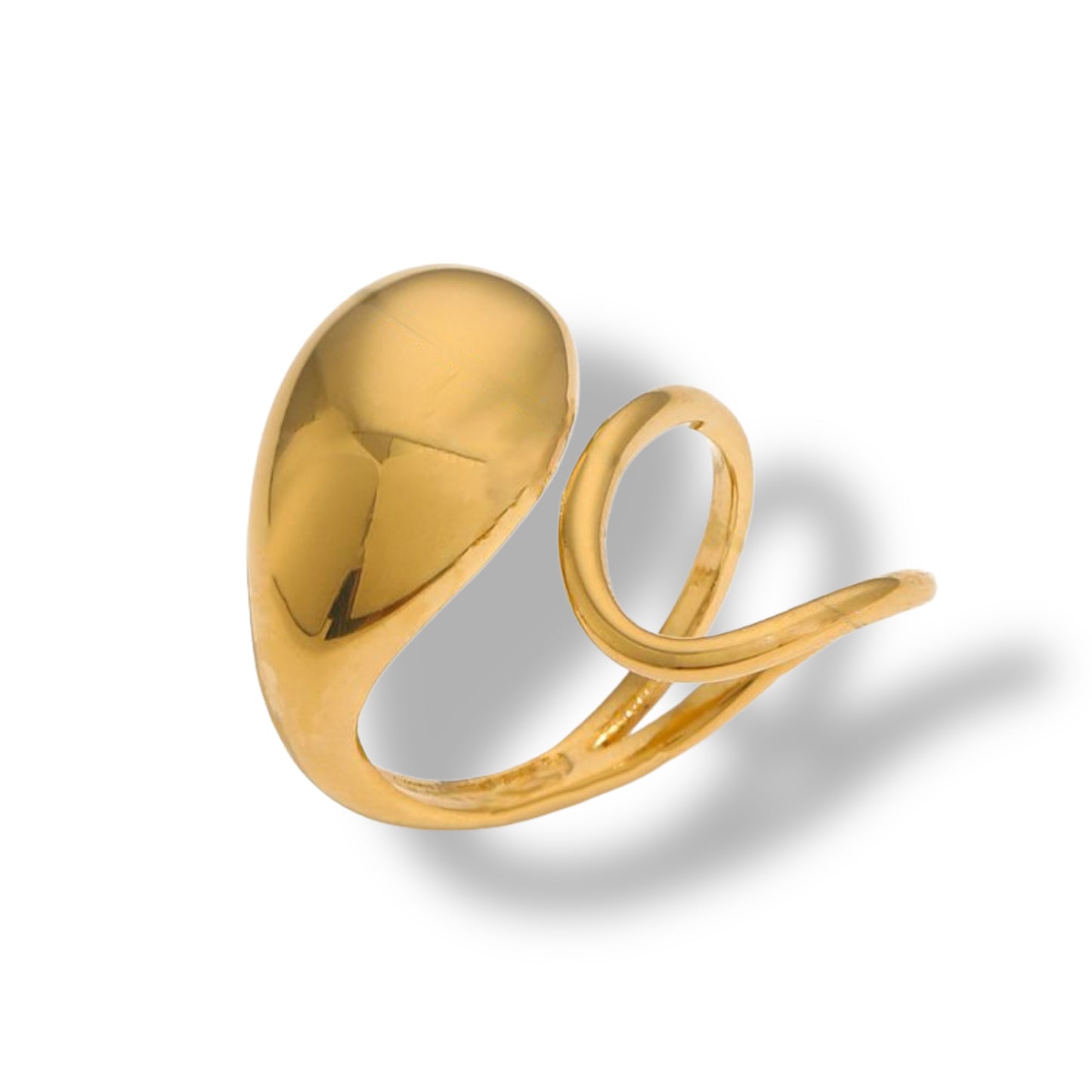 Anillo Ludo