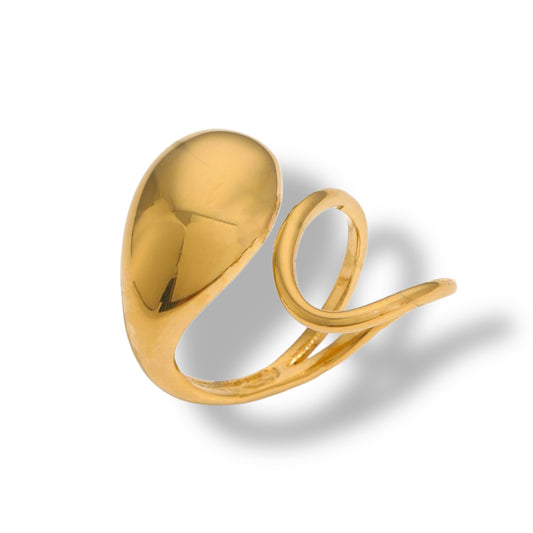 Anillo Ludo