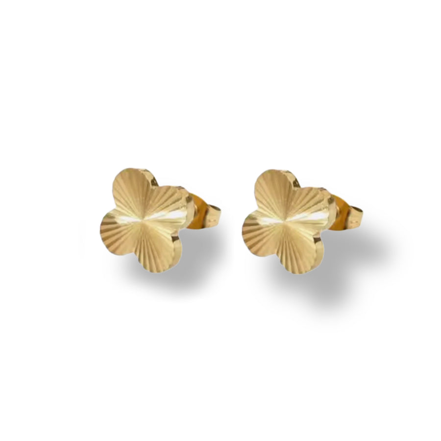 Pendientes Clovi Grande