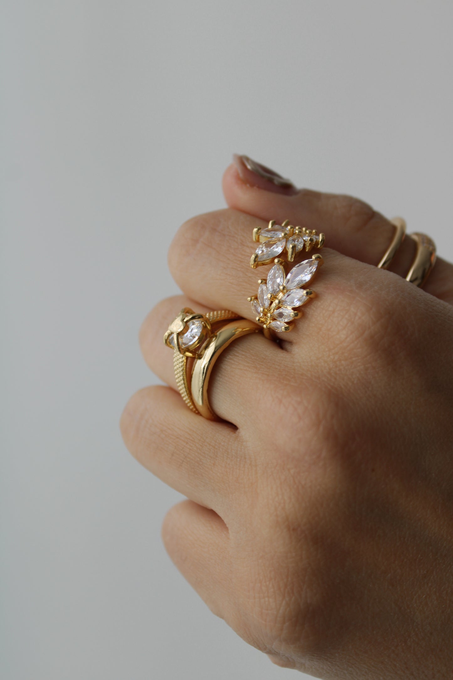 Anillo Barce