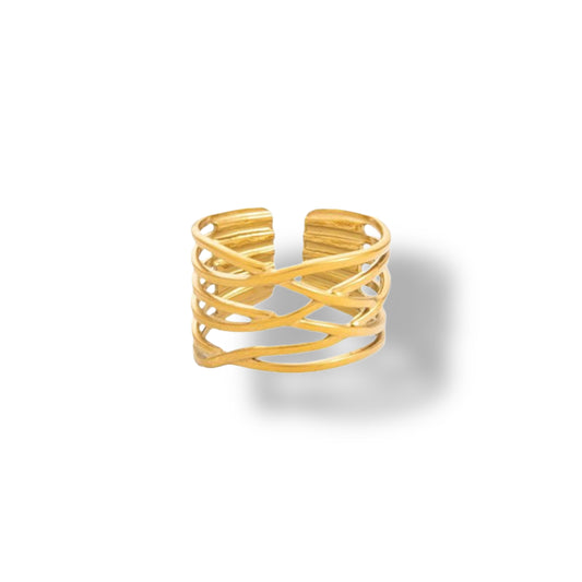 Anillo Viet